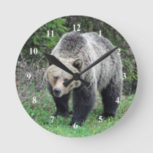 Alaska Grizzly Bear Wildlife Photo Round Clock