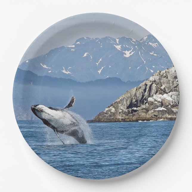 Alaska Humpback Whale Wildlife Photo Paper Plate (Front)