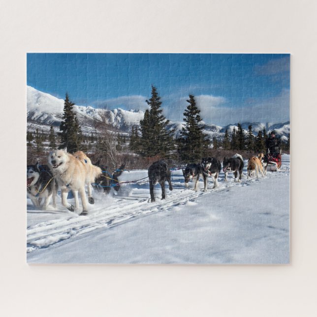 Alaska Husky Dog Sled Race Jigsaw Puzzle (Horizontal)