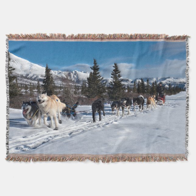 Alaska Husky Dog Sled Race Throw Blanket (Front)