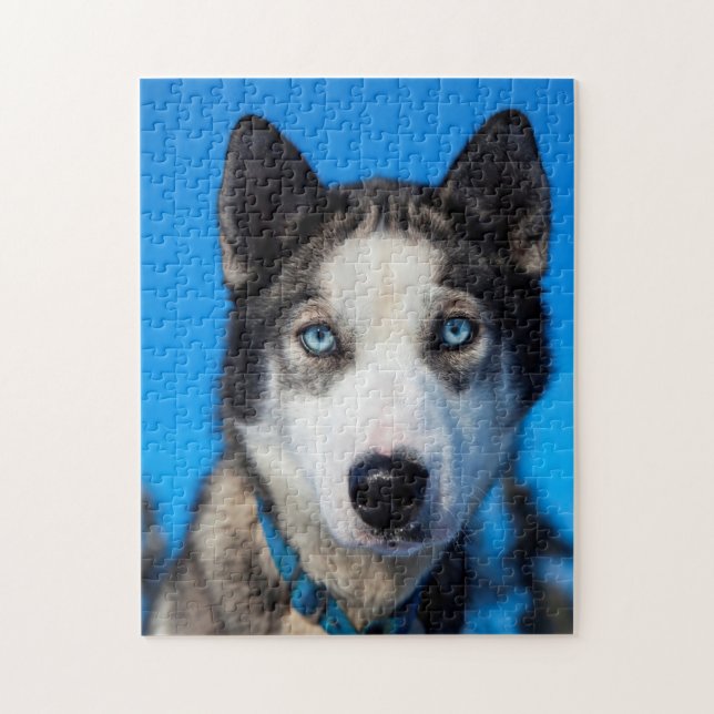 Alaska Husky. Jigsaw Puzzle (Vertical)