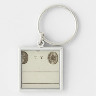 Alaska Keychain