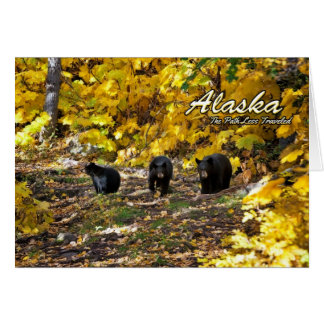 Alaska Le Chemin Moins Voyagé