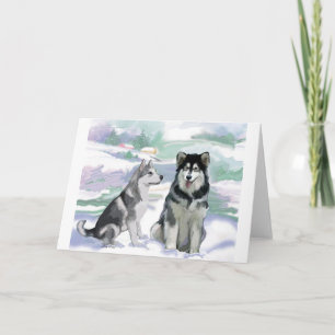 Alaska Malamute Winter Scene Holiday Card