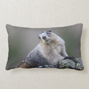alaska marmot lumbar pillow