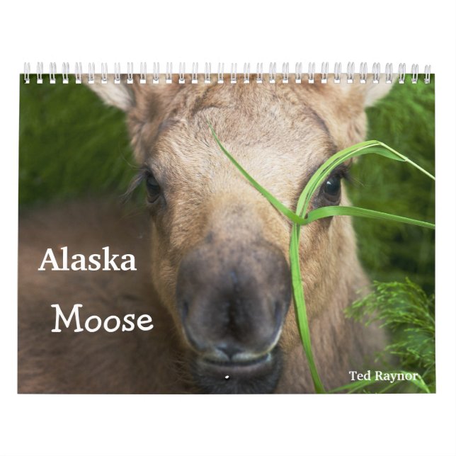 Alaska Moose Calendar (Cover)