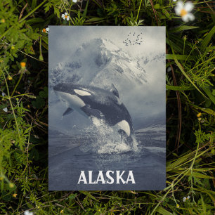 Alaska Mountains Killer Whale Orca Postcard