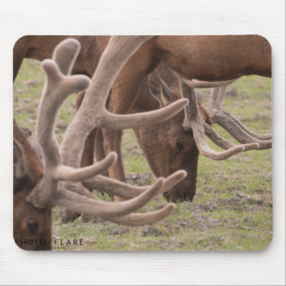 Alaska Mouse Pad