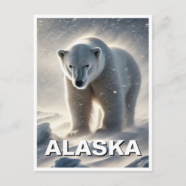 Alaska Polar Bear Snowstorm Postcard (Front)