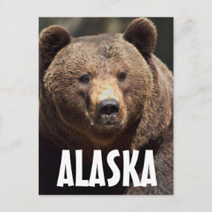 ALASKA PORTE GRIZZLY CARTES POSTALES