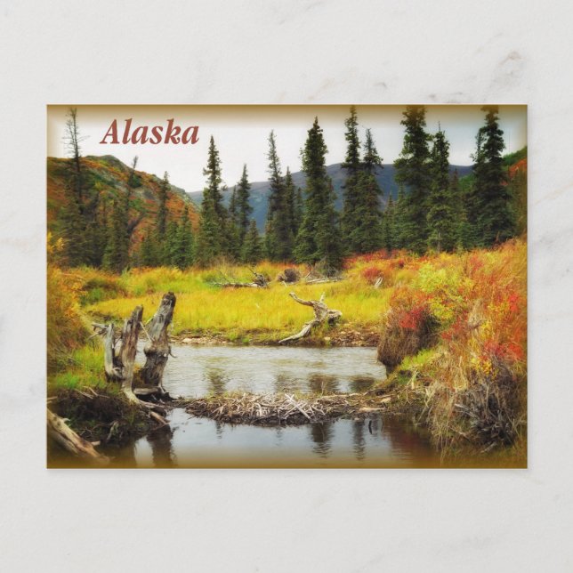 Alaska Postcard (Front)