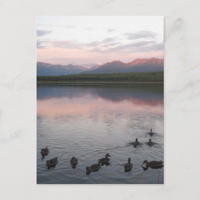 Alaska Postcard (Front)