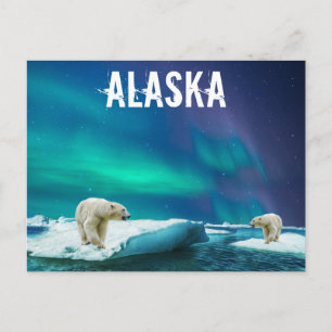Alaska Postcard with Polar Bears Aurora Borealis
