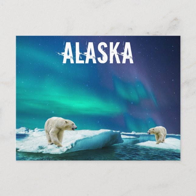 Alaska Postcard with Polar Bears Aurora Borealis (Front)