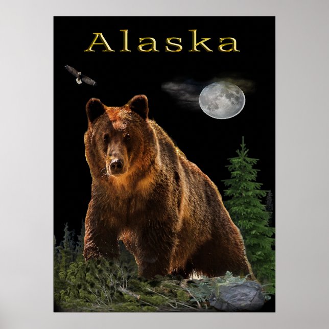 Alaska Poster (Front)