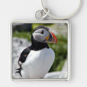 Alaska Puffins Feathered Colourful Birds Keychain