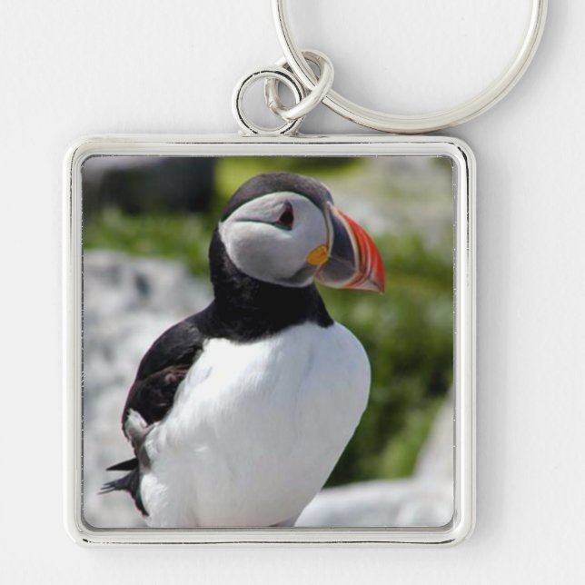 Alaska Puffins Feathered Colourful Birds Keychain (Front)