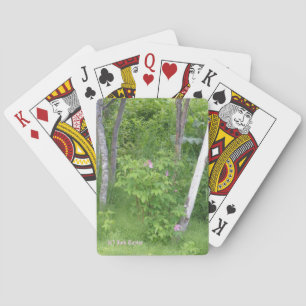 Alaska Rose #16 Playing Cards