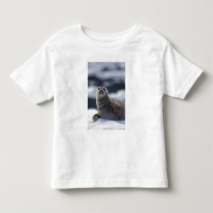 Alaska, southeast region Harbour seal on ice Toddler T-shirt