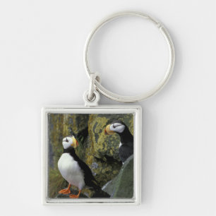 Alaska, St. Paul Island, the Pribilofs, horned Keychain