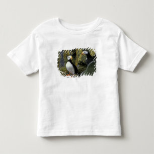 Alaska, St. Paul Island, the Pribilofs, horned Toddler T-shirt