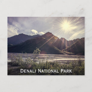 Alaska Sunbeams   Postcard