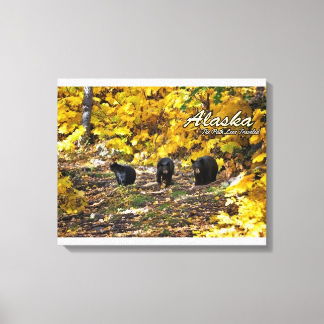 Alaska The Path Less Travelled Canvas Print (Front)