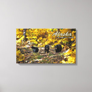 Alaska The Path Less Travelled Canvas Print