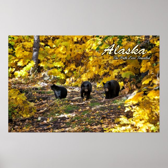 Alaska The Path Less Travelled Poster (Front)