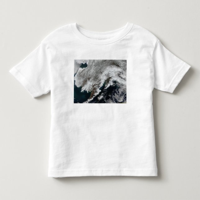 Alaska Toddler T-shirt (Front)