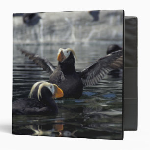 Alaska Tufted puffins Binder