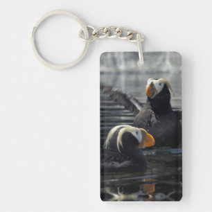 Alaska Tufted puffins Keychain