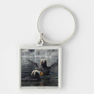 Alaska Tufted puffins Keychain