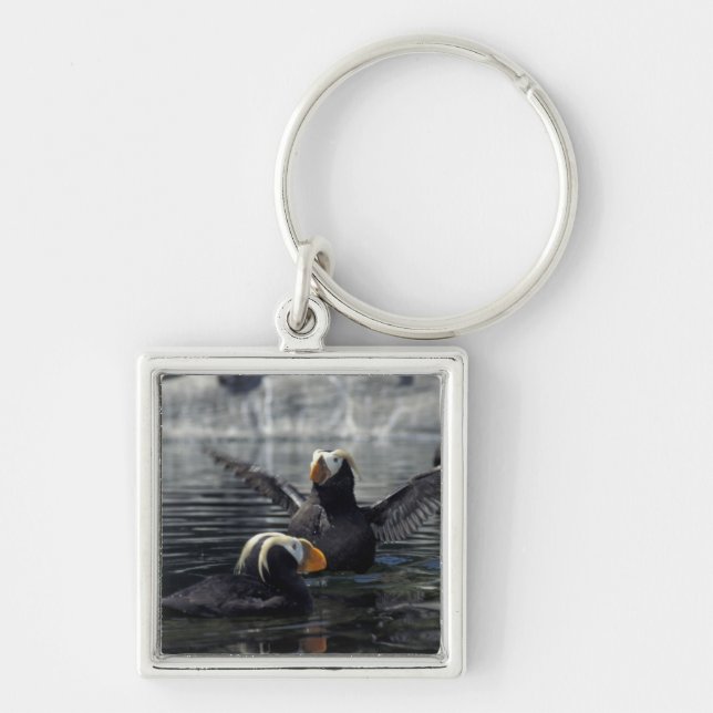Alaska Tufted puffins Keychain (Front)