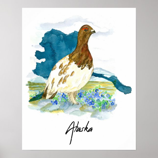 Alaska Tundra State Bird Forget Me Not Poster (Front)