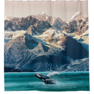 Alaska whale watching: boat excursion.
