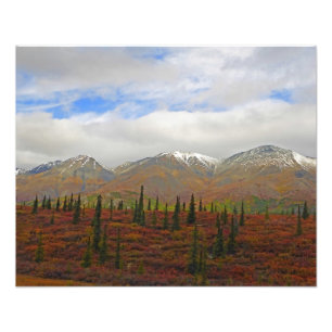 Alaskan Adventure - Landscape #9 Photo Print