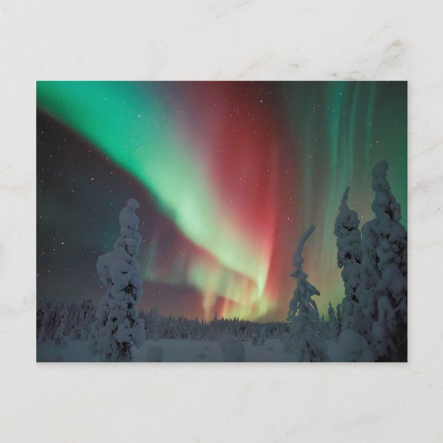 Alaskan Aurora Borealis Postcard (Front)