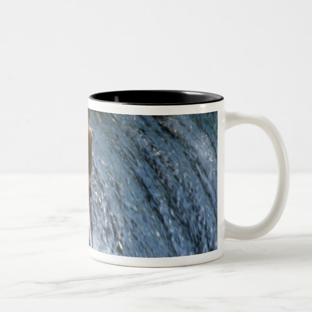 Alaskan Brown Bear Catching Salmon at Brooks Two-Tone Coffee Mug (Right)