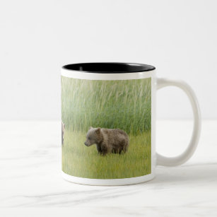 Alaskan Brown Bear Sow and three Cubs, Ursus Two-Tone Coffee Mug