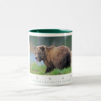 Alaskan Brown Bear
