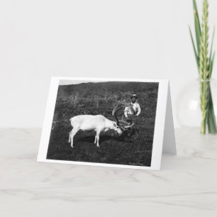 Alaskan Eskimo and Captured Reindeer Card
