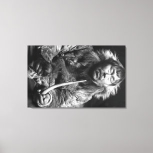 Alaskan Eskimo Smoking Pipe Photograph Canvas Print