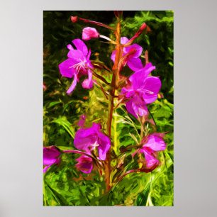 Alaskan Fireweed Pink Wildflower Abstract Poster