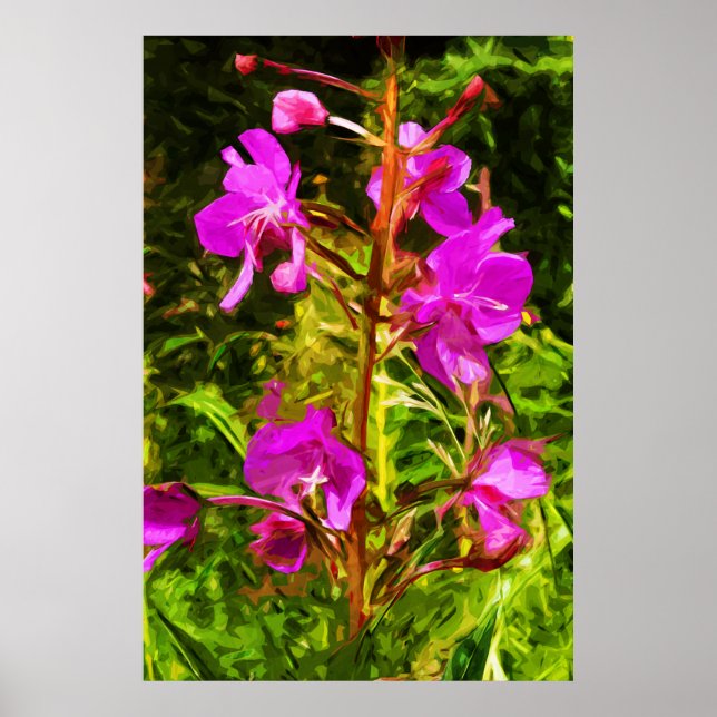 Alaskan Fireweed Pink Wildflower Abstract Poster (Front)