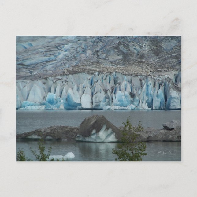 Alaskan Glacier Postcard (Front)