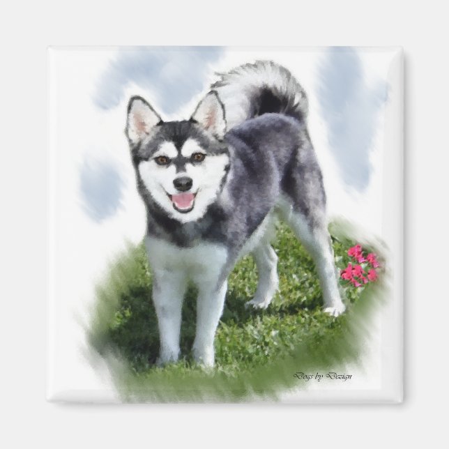 Alaskan Klee Kai Art Magnet (Front)
