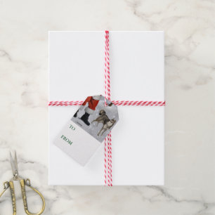 Alaskan Klee Kai Christmas Gift Tags