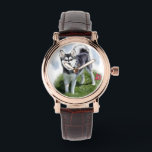 Alaskan Klee Kai Dog Art Watch<br><div class="desc">Beautiful art of an Alaskan Klee Kai.</div>