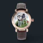 Alaskan Klee Kai Dog Art Watch<br><div class="desc">Beautiful art of an Alaskan Klee Kai.</div>